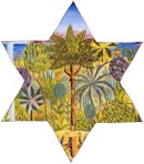 sosua-star-david-200px